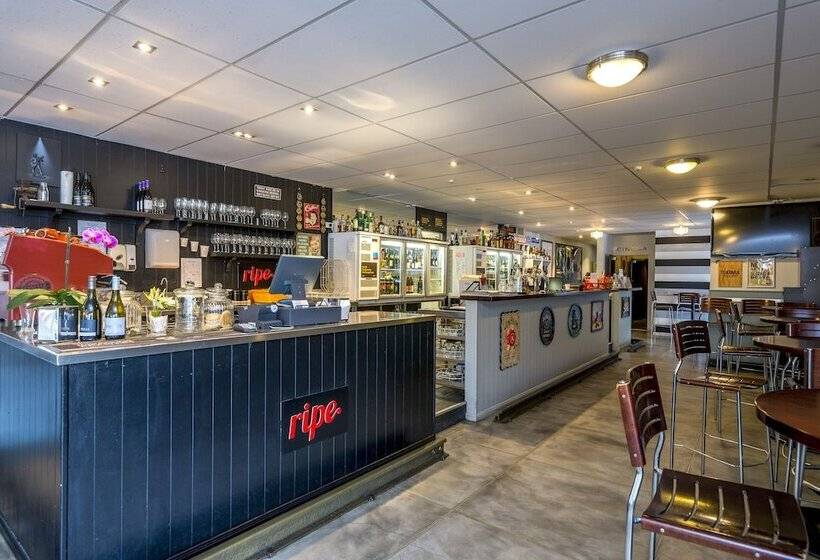 هتل Finns Paekakariki