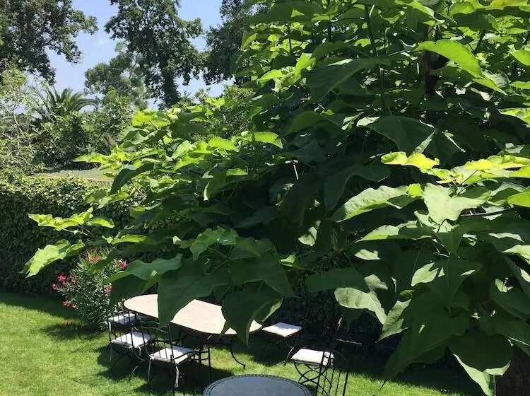 Majatalo Villa Louiserose