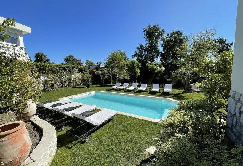 פנסיון Villa Louiserose