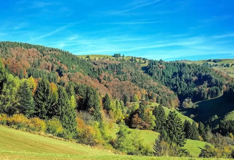 Coucou Hotel & Kuckucks Stube