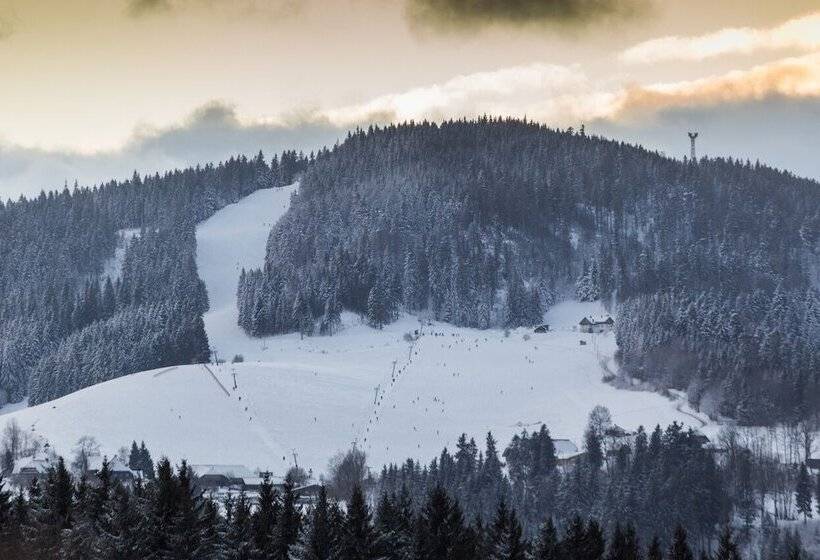 Coucou Hotel & Kuckucks Stube