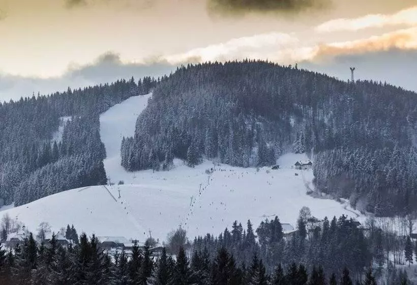 Coucou Hotel & Kuckucks Stube