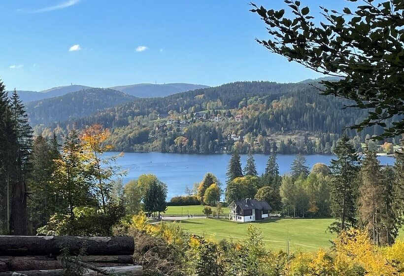 Coucou Hotel & Kuckucks Stube