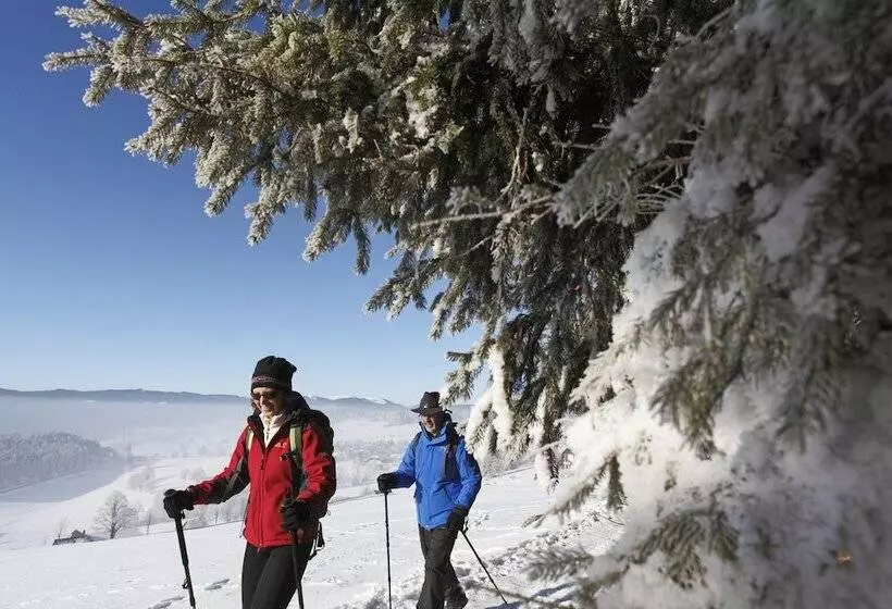 Coucou Hotel & Kuckucks Stube