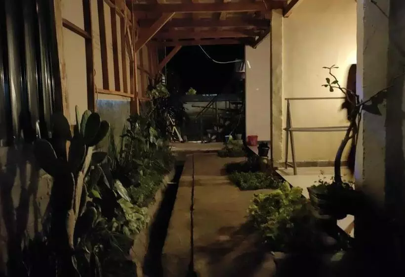 ユースホステル Angin Mamiri Rinjani Cottages And Restaurant