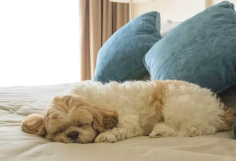 Hotelli Residence Inn Walnut Creek