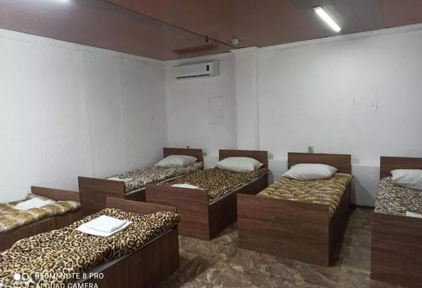 ホテル хостел готель колізей