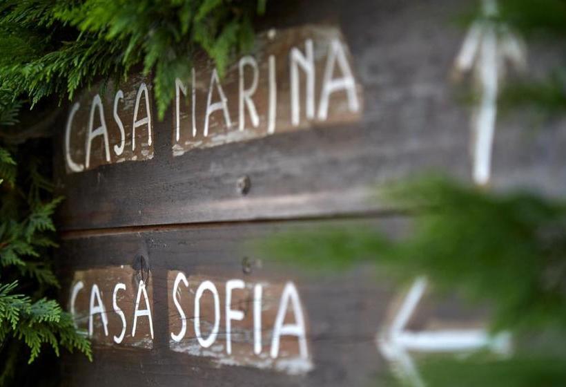 호텔 Agriturismo Da Rosy