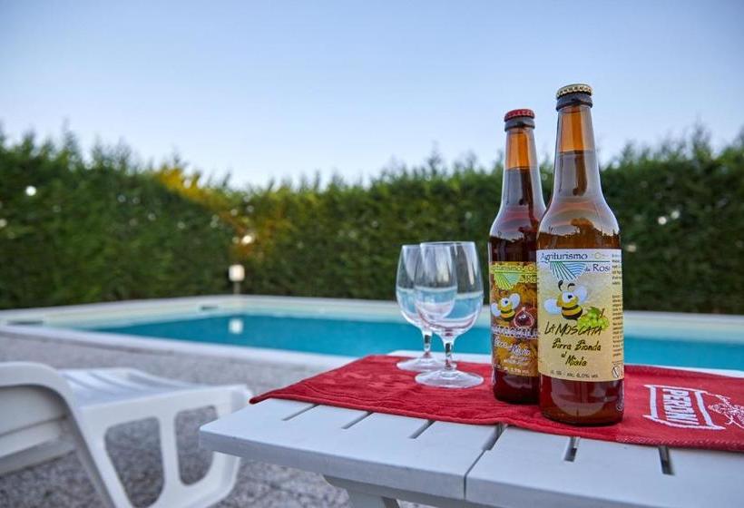 호텔 Agriturismo Da Rosy