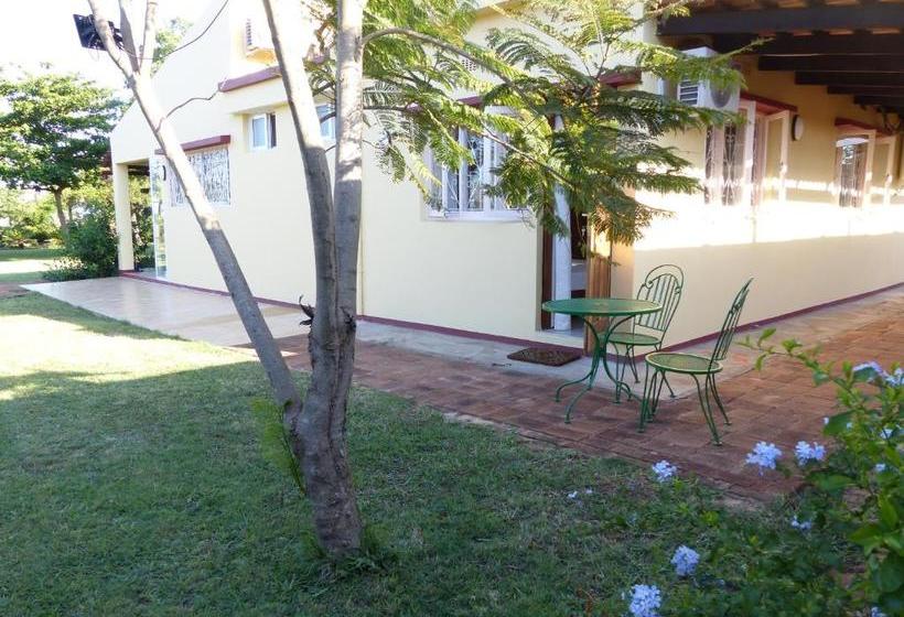 Пансион Ancha's Oasis