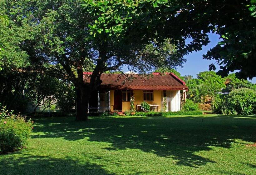 Пансион Ancha's Oasis