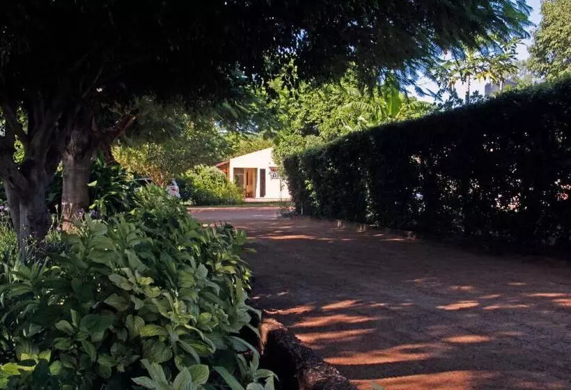 ペンション Ancha's Oasis