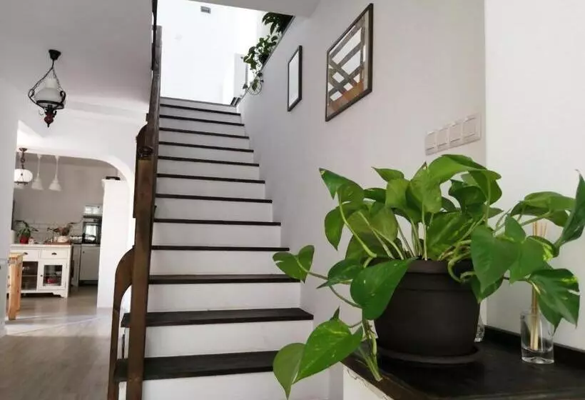 Bed and Breakfast Casa Scheiana