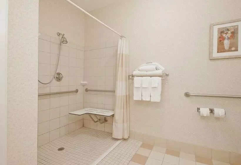Отель Comfort Inn Bettendorf Quad Cities