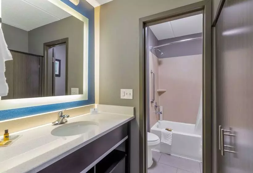 Отель Best Western Plus Bowling Green