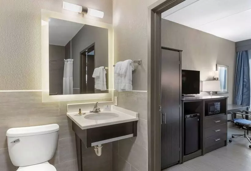 Отель Best Western Plus Bowling Green