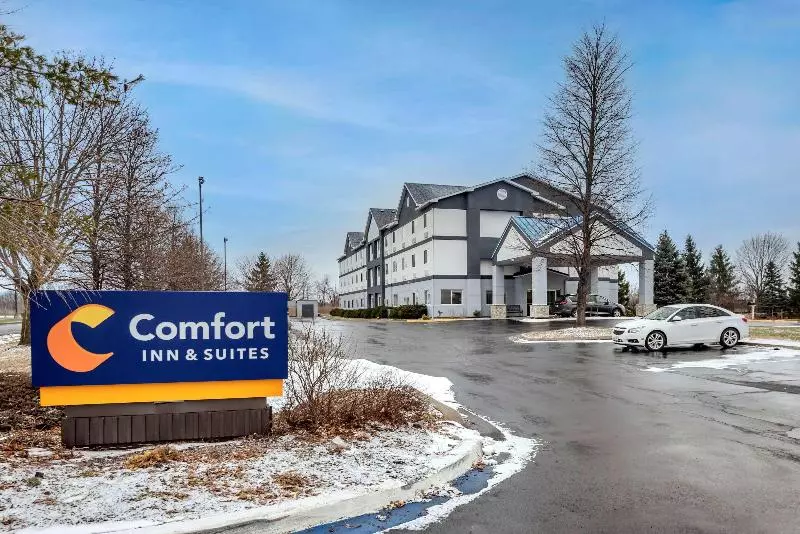 Отель Comfort Inn & Suites Liverpool   Syracuse