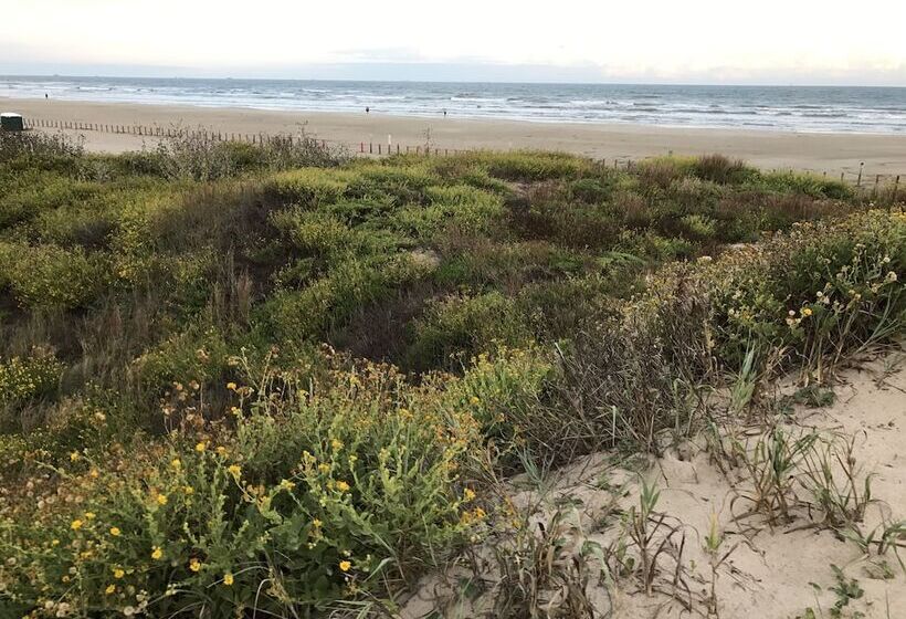 Hôtel Executive Keys Condominiums On The Beach