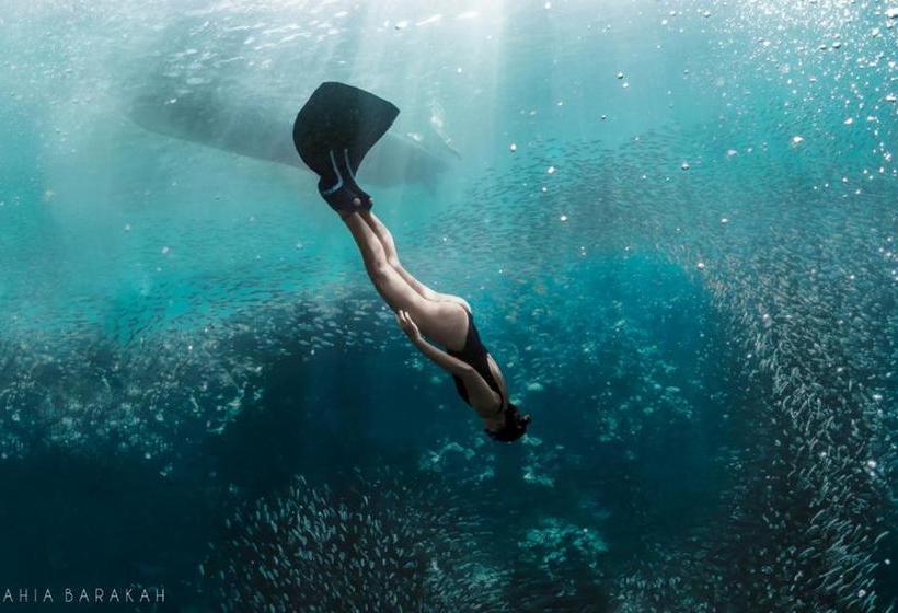 I M Okay Guesthouse  Hostel