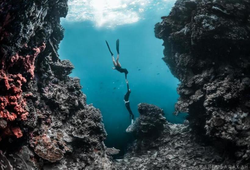 I M Okay Guesthouse  Hostel