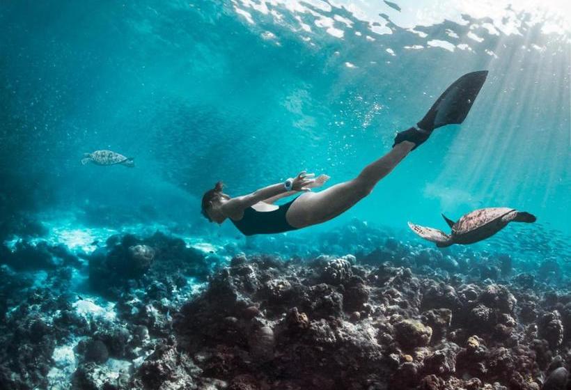 I M Okay Guesthouse  Hostel