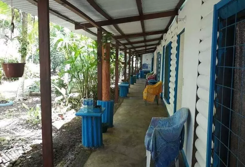 ベッドアンドブレックファースト Puerto Viejo Ancora Blu Hostel