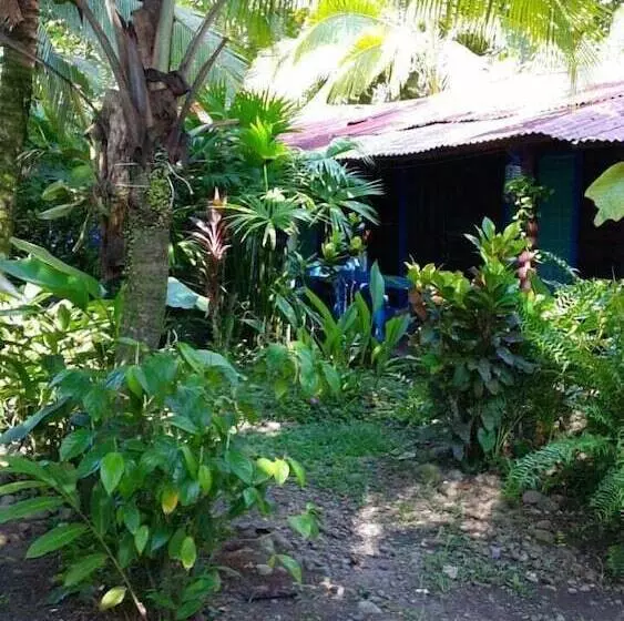 ベッドアンドブレックファースト Puerto Viejo Ancora Blu Hostel