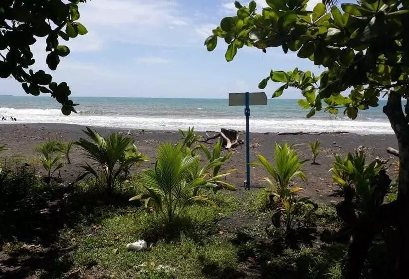 ベッドアンドブレックファースト Puerto Viejo Ancora Blu Hostel