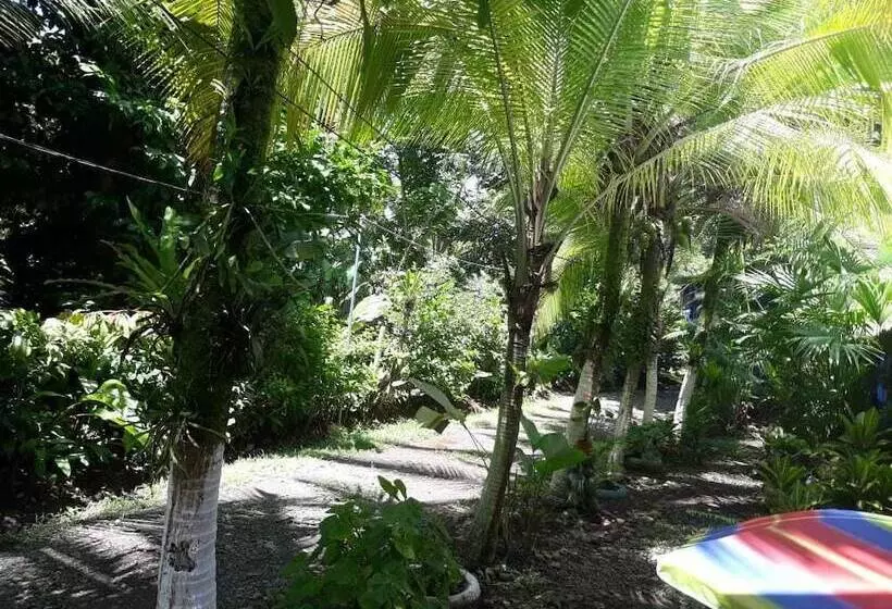 ベッドアンドブレックファースト Puerto Viejo Ancora Blu Hostel