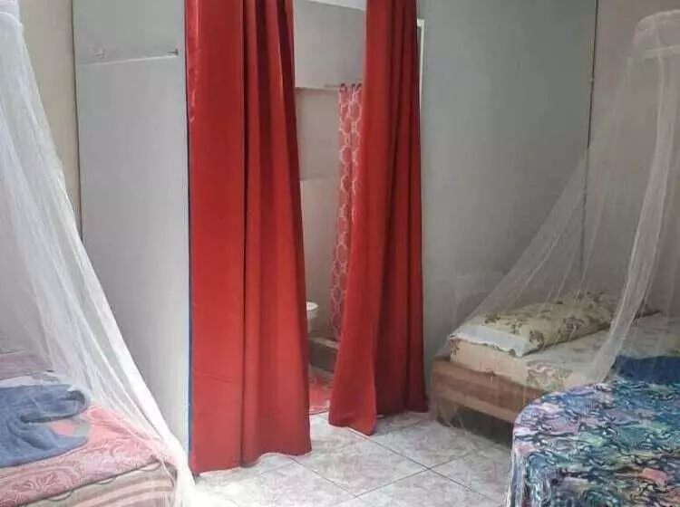 ベッドアンドブレックファースト Puerto Viejo Ancora Blu Hostel