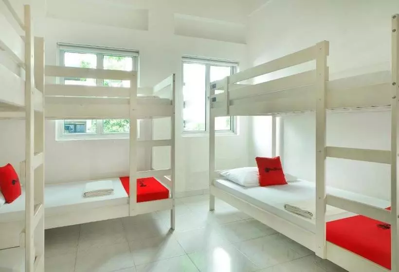 Reddoorz Hostel @ Lavender Mrt