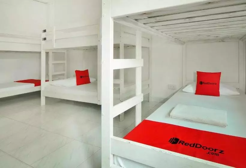 Reddoorz Hostel @ Lavender Mrt