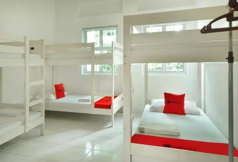 Reddoorz Hostel @ Lavender Mrt