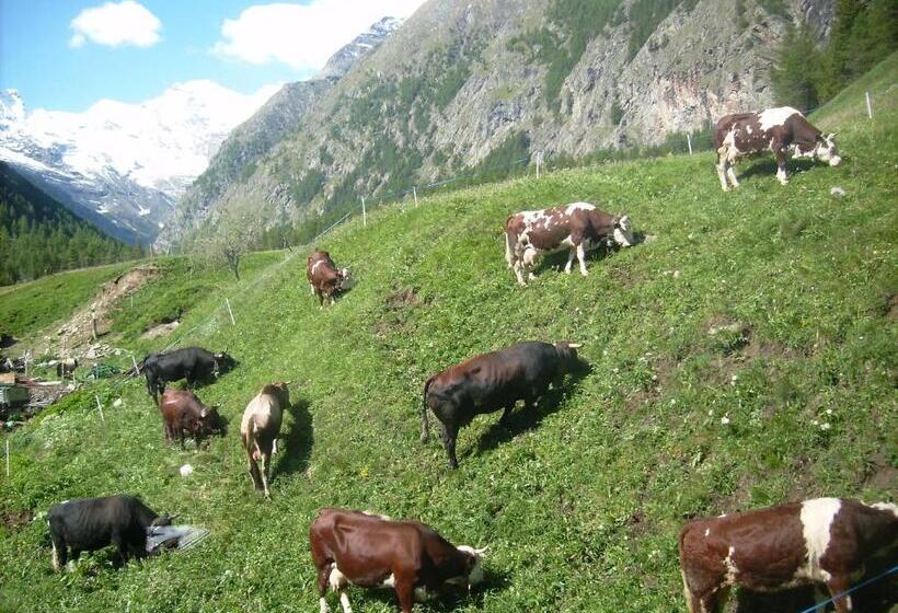هتل روستایی La Ferme Du Grand Paradis