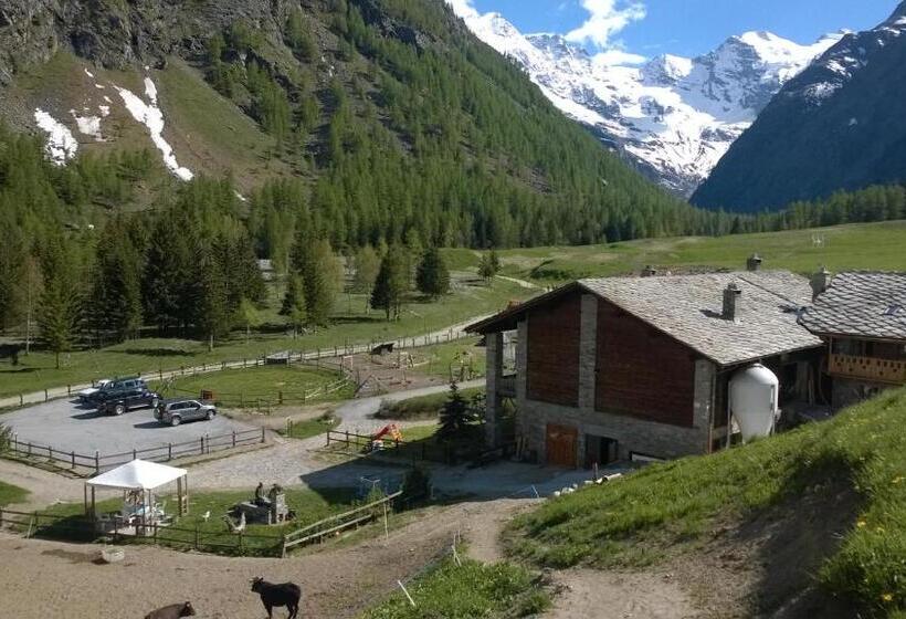 هتل روستایی La Ferme Du Grand Paradis