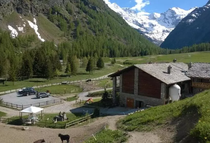 هتل روستایی La Ferme Du Grand Paradis