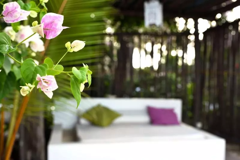 Hotelli Upendo Beach Boutique