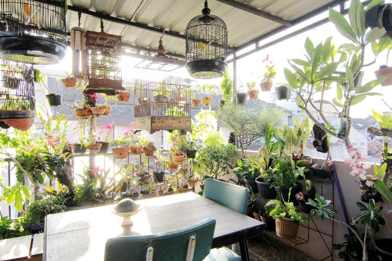 هتل Wanderlust Homestay