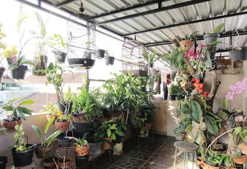 هتل Wanderlust Homestay