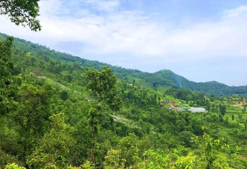 Indreni Organic Farm And Homestay   Hostel