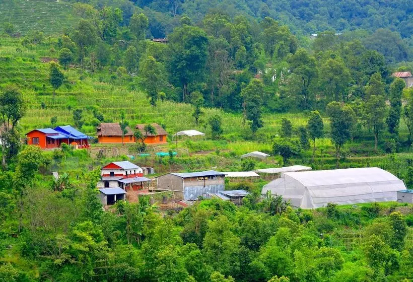 Indreni Organic Farm And Homestay   Hostel