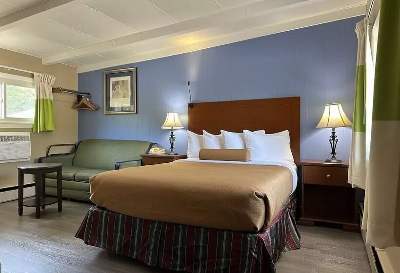 モーテル Claremont Motor Lodge