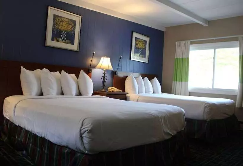 モーテル Claremont Motor Lodge