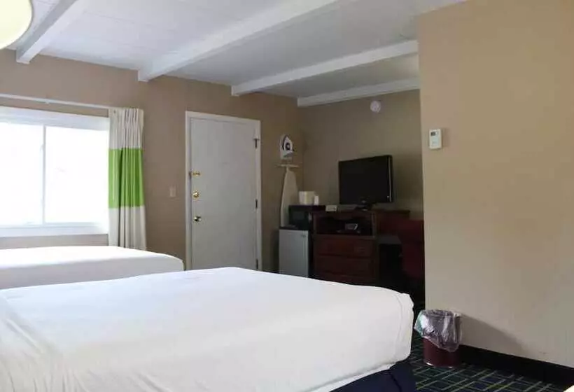 モーテル Claremont Motor Lodge