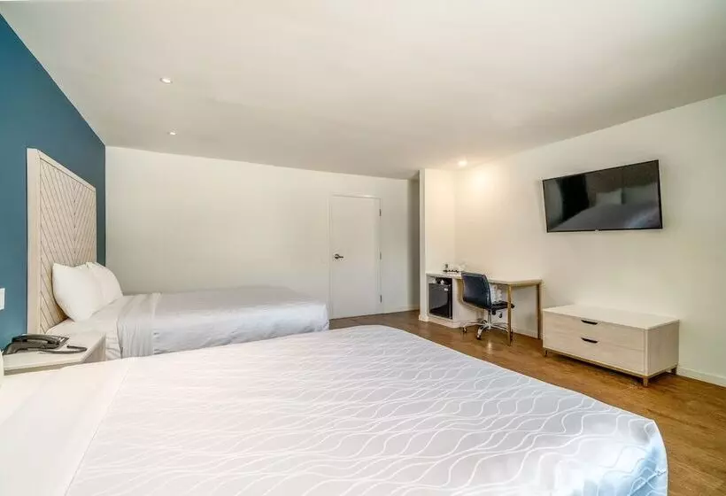 モーテル Trend Hotel At Lax Airport