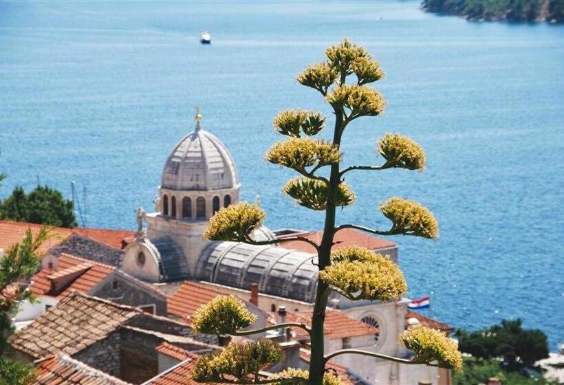 ペンション Fenice Palace