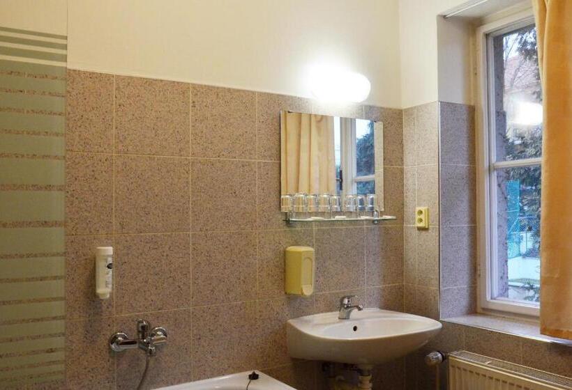 פנסיון Penzion Integrity