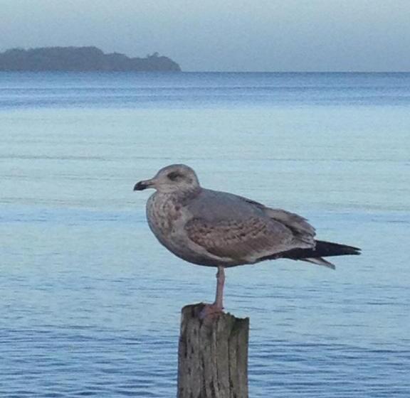 Strandhotel Dünenhaus