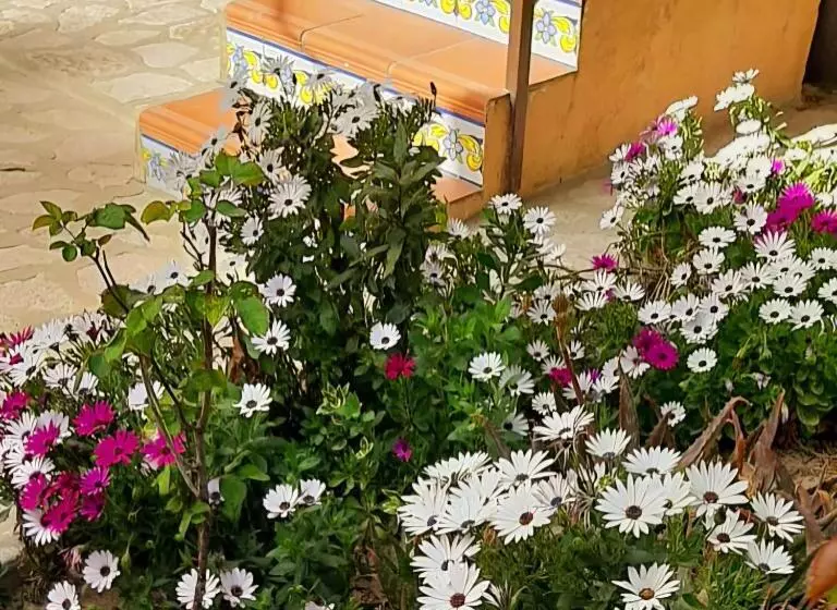 ベッドアンドブレックファースト Casa Josa