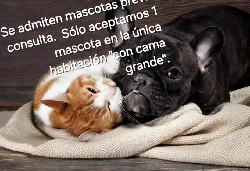 ベッドアンドブレックファースト Casa Josa